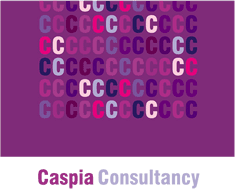 caspia consultancy ltd.