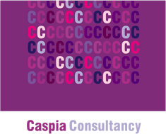 Caspia Consultancy Ltd