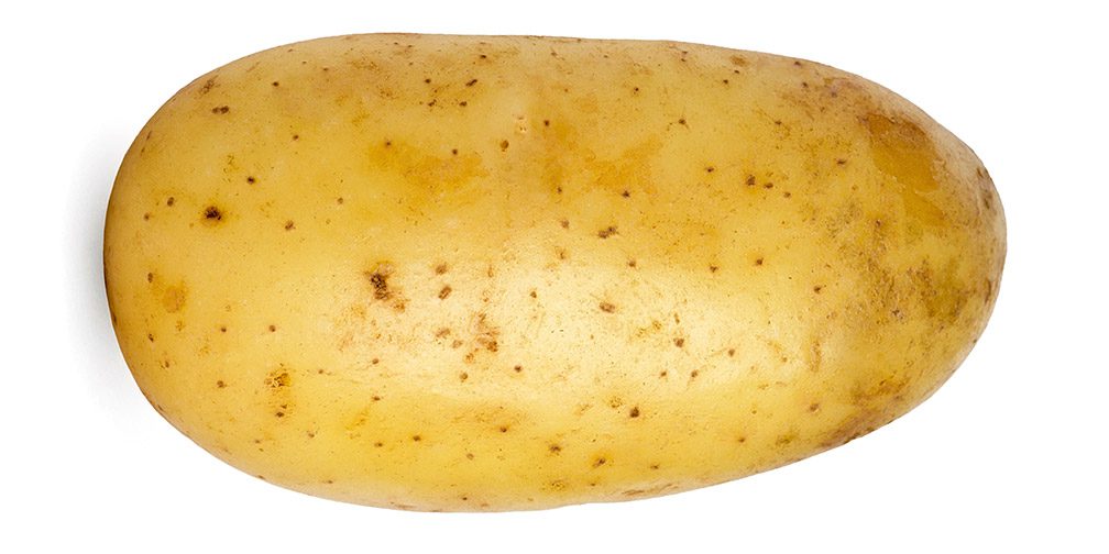 Photograph of a potato